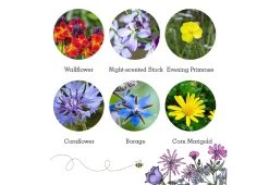 Project Maya Wildlife Seed Box 16 Project Maya Wildlife Seed Box -Comfortable Home project maya wildlife seed box bat