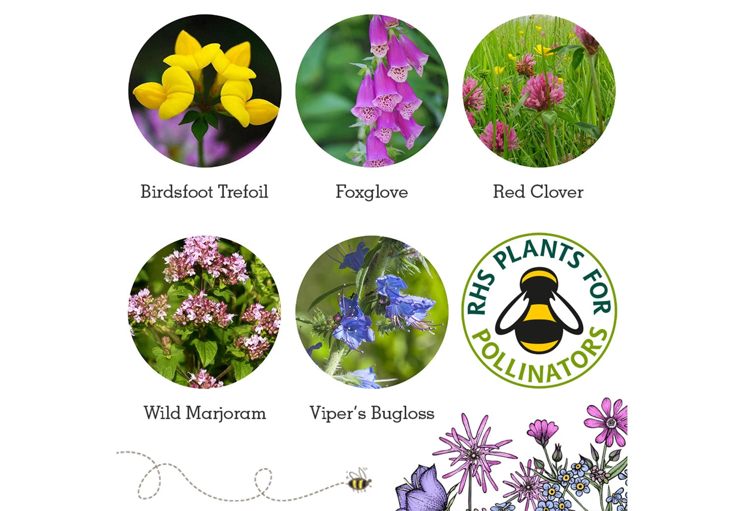 Project Maya Wildlife Seed Box 7 Project Maya Wildlife Seed Box - Image 7