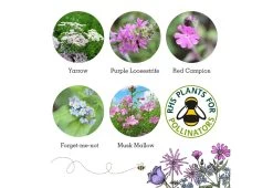 Project Maya Wildlife Seed Box 20 Project Maya Wildlife Seed Box -Comfortable Home project maya wildlife seed box butterfly