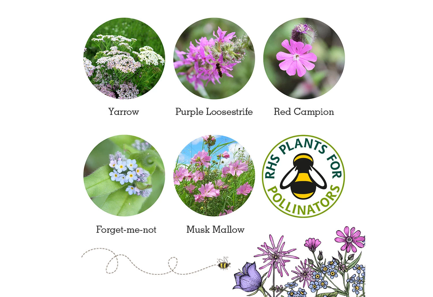 Project Maya Wildlife Seed Box 10 Project Maya Wildlife Seed Box - Image 10