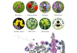 Project Maya Wildlife Seed Box 21 Project Maya Wildlife Seed Box -Comfortable Home project maya wildlife seed box hedgehog