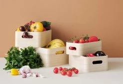 RIG TIG SAVE-IT Storage Boxes, 5 Pcs