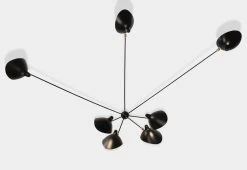 Applique Araignée 7 Bras Fixes, 1953