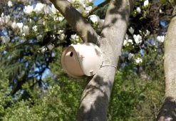 Flat Pack Bird House, 2011