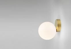 Tip Of The Tongue Wall/ceiling, 2013