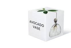 Avocado Vase -Comfortable Home twentytwentyone Ilex Studio 1