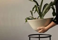 Menu Daiza Planter, 2023 -Comfortable Home twentytwentyone Menu Daiza Planter 1