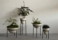 Menu Daiza Planter, 2023