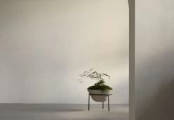 Menu Daiza Planter, 2023 -Comfortable Home twentytwentyone Menu Daiza Planter 5