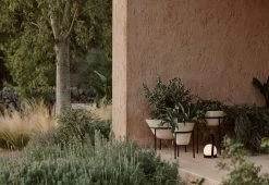 Menu Daiza Planter, 2023 -Comfortable Home twentytwentyone Menu Daiza Planter 6