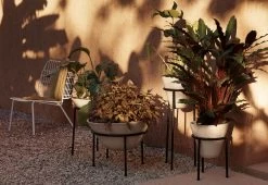 Menu Daiza Planter, 2023 -Comfortable Home twentytwentyone Menu Daiza Planter 7