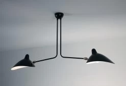 Plafonnier 2 Bras Fixes, 1959