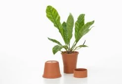 Vitra Terracotta Pots, 2023 -Comfortable Home vitra thelonious goupil terracotta pots 6